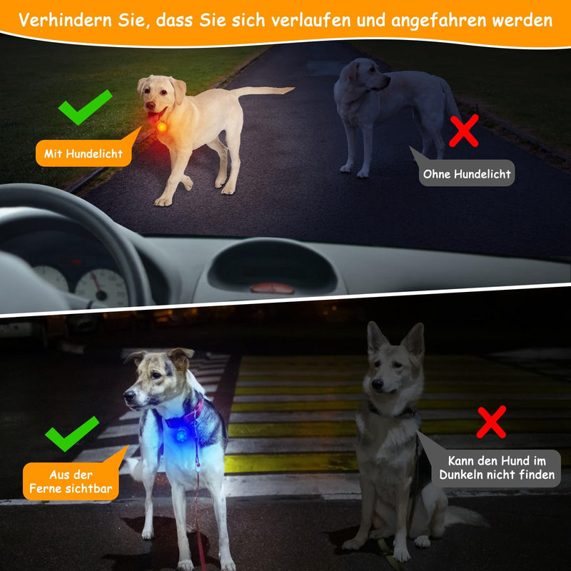 AHJ 5pcs light collar dog safety flashing light LED clip-on light pendant pet with 3 flashing modes, flashing light school bag, safety light for dogs, cats, children, cyclists - PawsPlanet Australia