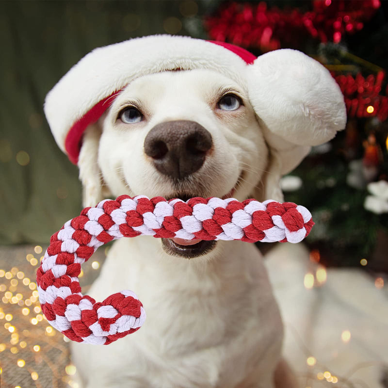 Dog toy, pack of 3 dog chew toys, dog toy indestructible, Christmas dog toy, dog toy Christmas, dog cuddly toy for medium-sized dogs, small dogs, puppy toy B - PawsPlanet Australia