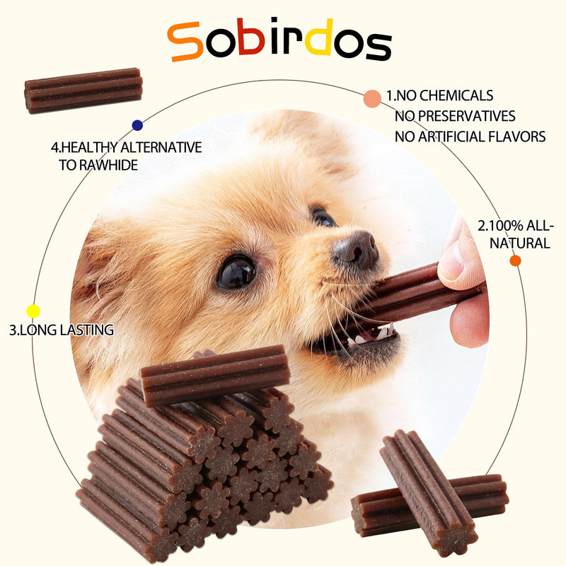 Long-Lasting Dog Toy, dog toothpicks, teethers, long-lasting chewing snacks for small dogs and puppies filler - PawsPlanet Australia
