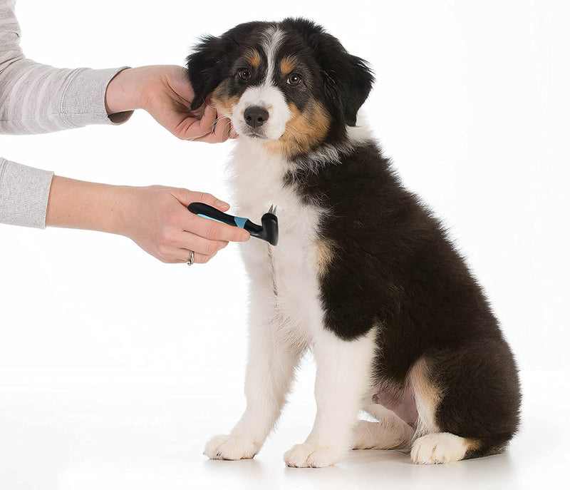 Dog rake deshedding dematting Brush Comb - Undercoat rake for Dogs, Cats, matted, Short,Long Hair Coats - Brush for Shedding, Double Row Stainless Steel pins - Reduce Shedding by 90% - PawsPlanet Australia