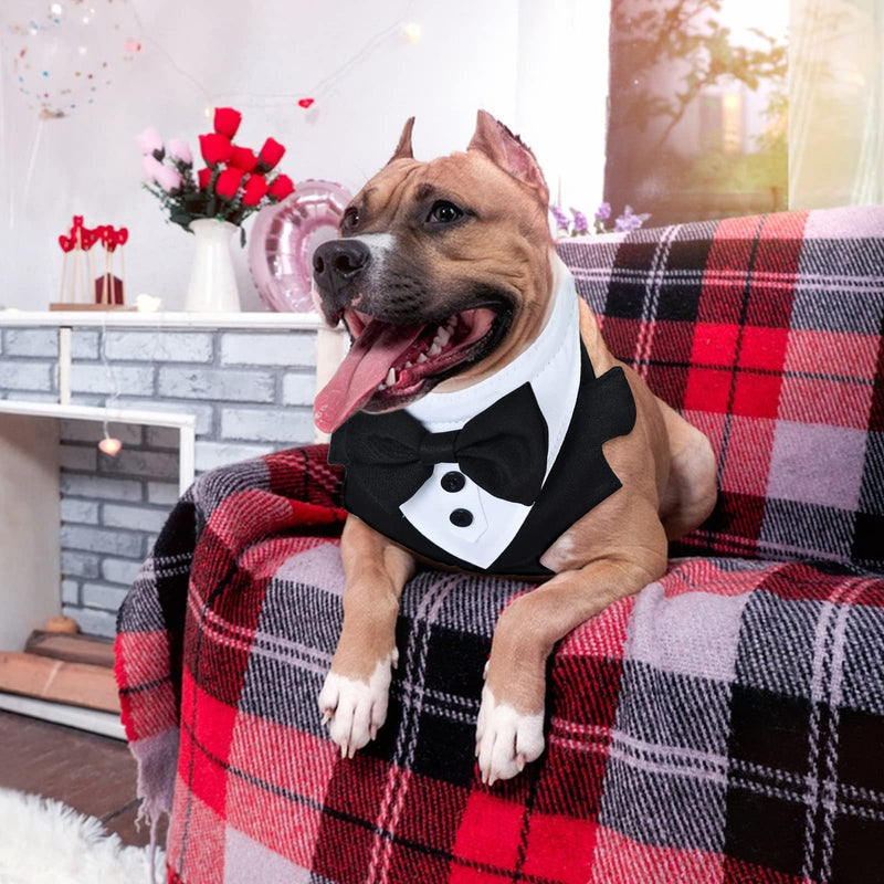 Dog Tuxedo Wedding, Formal Dog Wedding Harness, Dogs Tuxedo Wedding Party Suit, No-Pull Pet Harness, Dog Prince Birthday Wedding Harness for Medium Large Dogs (Large, Harness) - PawsPlanet Australia