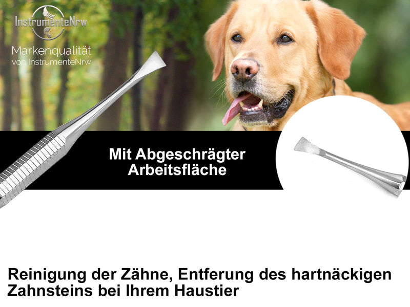 Dog Mini Tartar Scraper with Protective Case Ideal for Travel Pet Dental Care Tooth Cleaner for Animals Toothbrush Alternative Made of Stainless Steel - PawsPlanet Australia