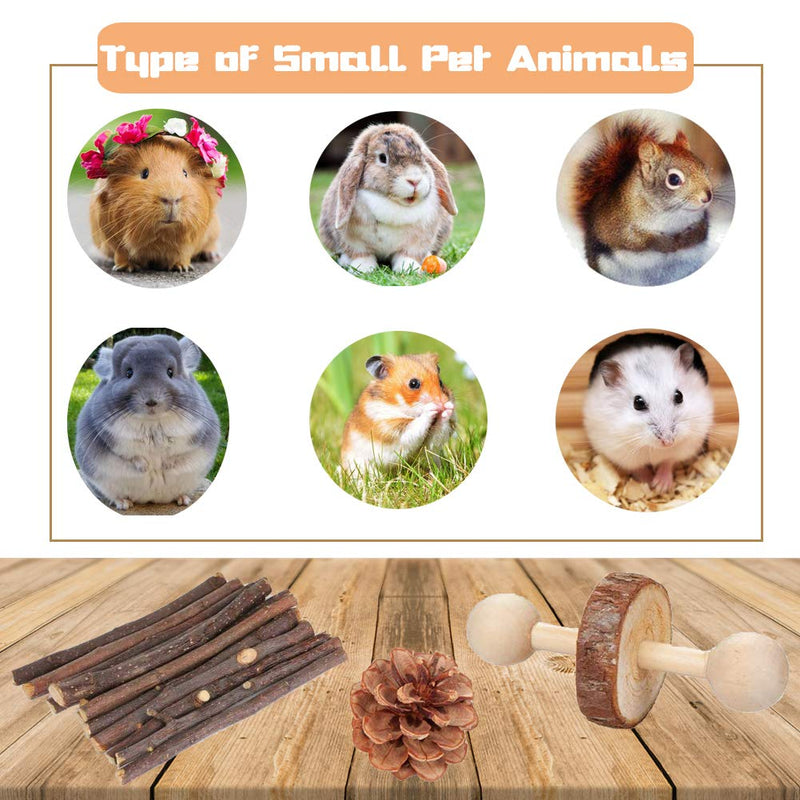 Suwikeke Hamster Chew Toys, 7 Pack Pet Bunny Tooth Chew Toys, Natural Wooden Guinea Pig Toys Accessories, Teeth Care Molar Toy for Rabbits Gerbils Rats Chinchillas and Other Small Pets - PawsPlanet Australia