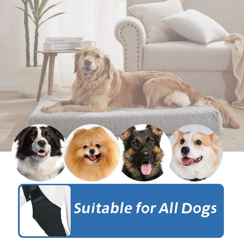 Dog Knee Brace Dog Leg Brace for Support with Cruciate Ligament Injury Dog Leg Brace for Torn acl Hind Leg Better Recovery with Dog ACL Knee Brace Dog Hip Support Brace Pet Knee Brace (M) Medium - PawsPlanet Australia