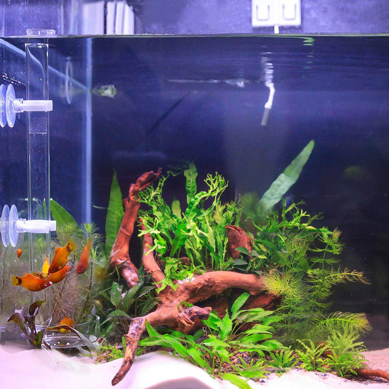 [Australia] - Ailinda 200MM/250MM/300MM Aquarium Feeding Tube Fish Feeder Tube Clear Acrylic Shrimp Feeding Tube with Glass Dish for Fish Tank Aquarium 2PCS Suction Cups Clear-200mm 