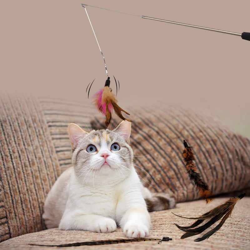 LIERKISS 5 Refills and a Spare Hook Cat Feather Toys,Interactive Retractable Cat Teaser Wand - PawsPlanet Australia