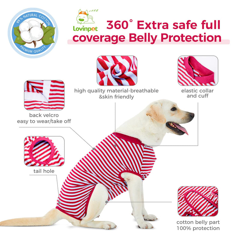 LovinPet Recovery Shirt - Full Coverage Dog's Bodysuit Wound Protective Surgical,E-Collar Alternative Recovery Snugly Suit for Abdominal Wounds After Surgery Anti-Licking Dog Onesies,Short Legs,L Large Red collar/Red - PawsPlanet Australia