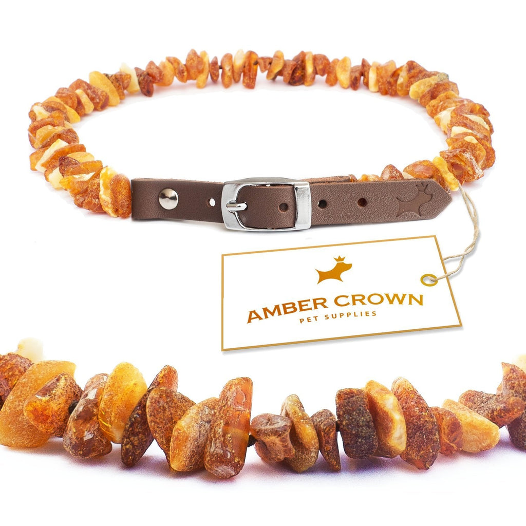 Amber necklace for dogs and cats with leather clasp, against ticks and fleas 20-25cm - PawsPlanet Australia