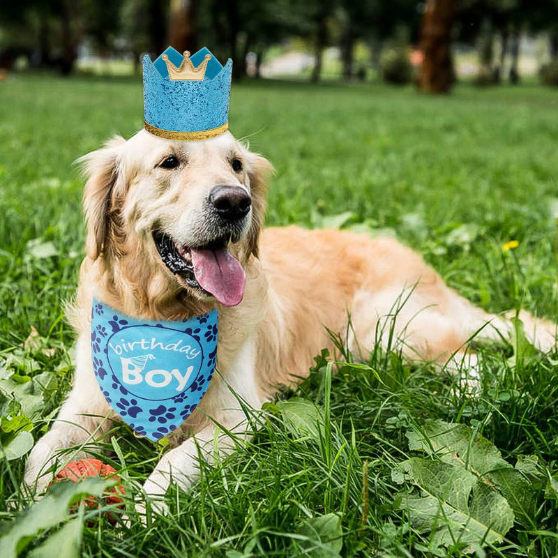 Dog Birthday Bandana with Crown Hat - Triangle Scarfs and Cute Party Hat for Pets, Blue - PawsPlanet Australia