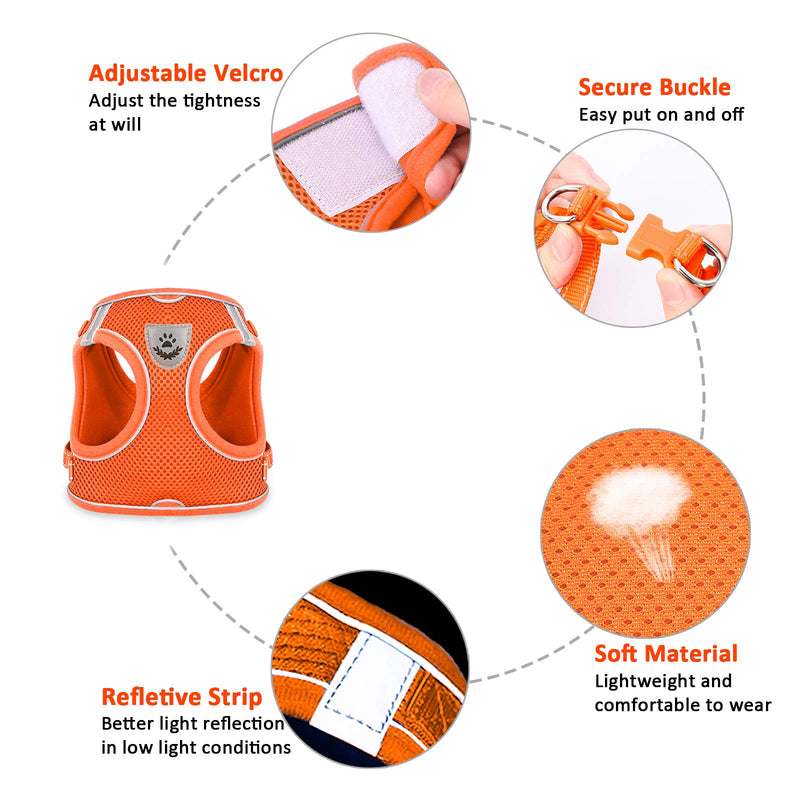 [Australia] - LUCKYPAW Dog Harness and Leash Set for Walking, Escape Proof Vest Harness with Soft Mesh, Adjustable Velcro, Reflective Strips for Kitten Cats and Puppy Dogs XS Orange 