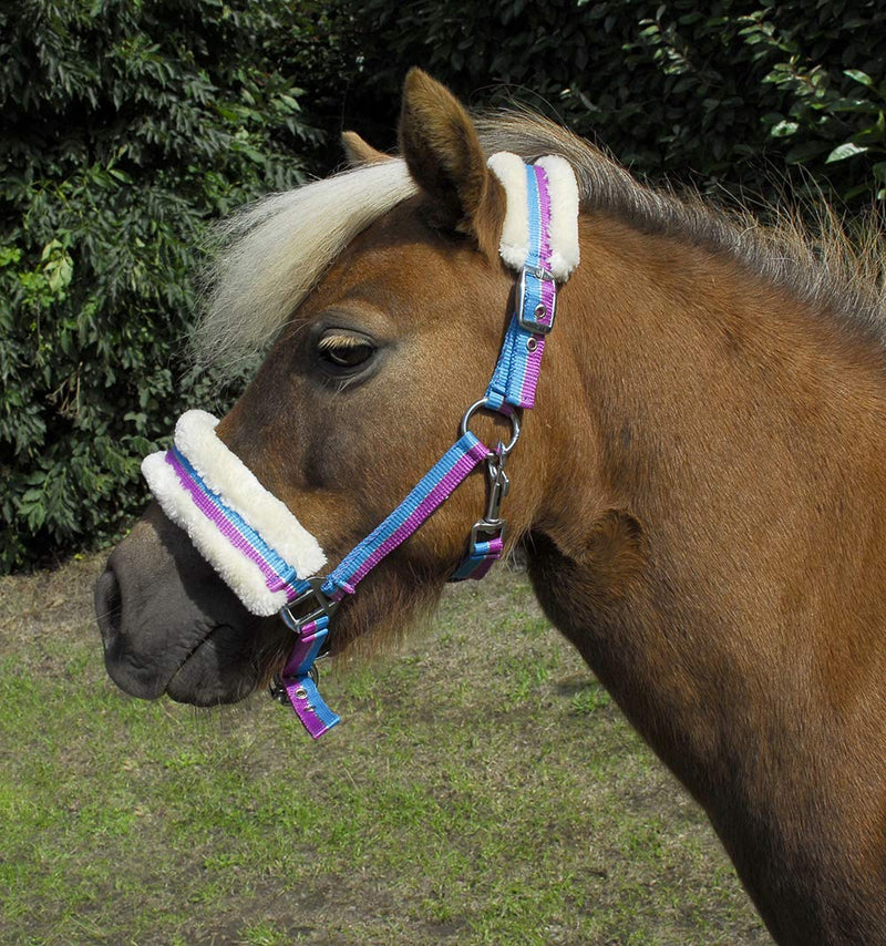 Rhinegold Bright Striped Fur Trim Small Pony Headcollar Turquoise Stripe - PawsPlanet Australia