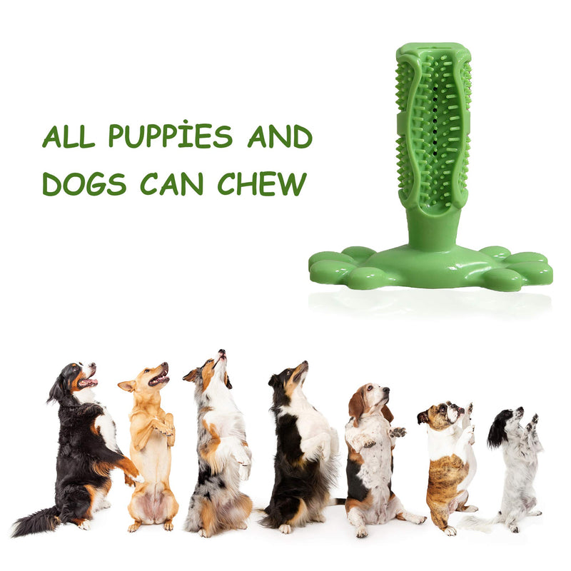 Dog Toothbrush Chew Toy, Puppy Dental Care Teeth Cleaning Stick Toy for All Breed of Dogs - Dog Toothbrush Stick, Dog Teeth Cleaning Chewing Playing Toy, Durable Rubber Dog Teeth Cleaning Green - PawsPlanet Australia