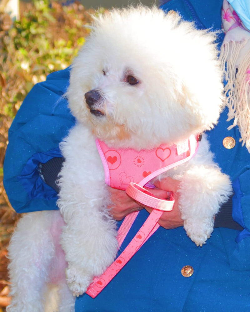 Moonpet Valentine's Day Dog Harness Leash Set /Soft Gentle No Pull No Choke Dog Harnesses/ Adjustable Breathable Mesh Step in Dog Vest Harness for Small Medium Large Dogs S: Neck 11.4"-14.2’’, Chest 14.2"-18.9" Valentine's Day Red - PawsPlanet Australia