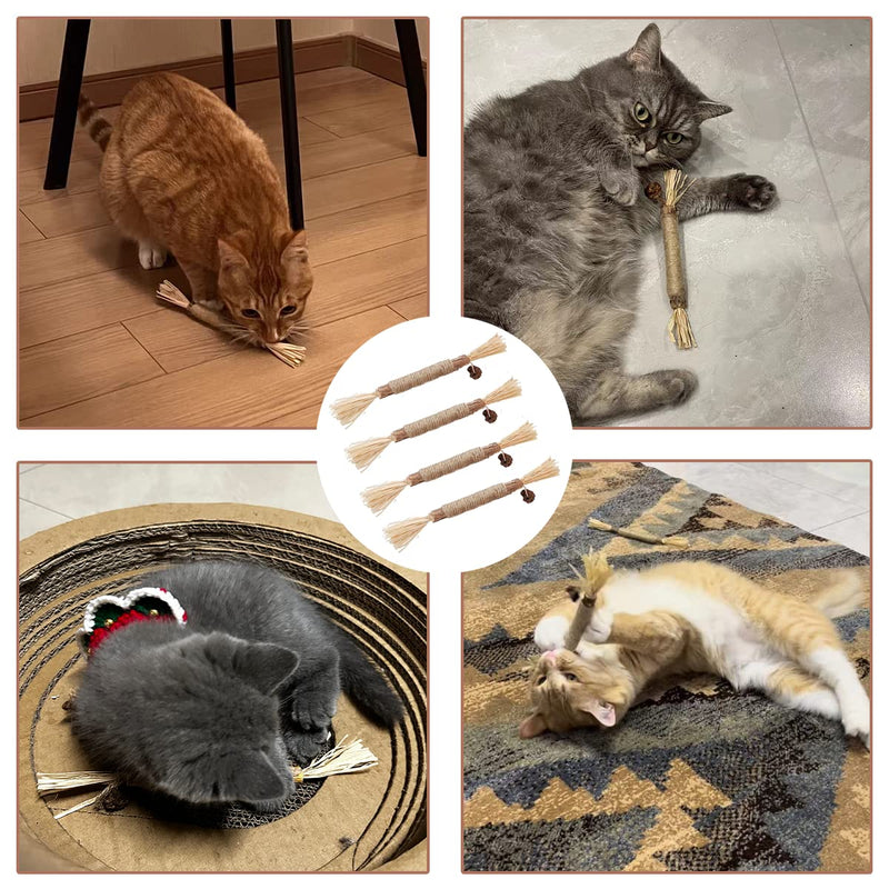 Tsathoggua catnip sticks, 4 pieces catnip toys, interactive cat toy, cat toy, cat toy for removing tartar, refreshing breath, organic interaction cat grass - PawsPlanet Australia