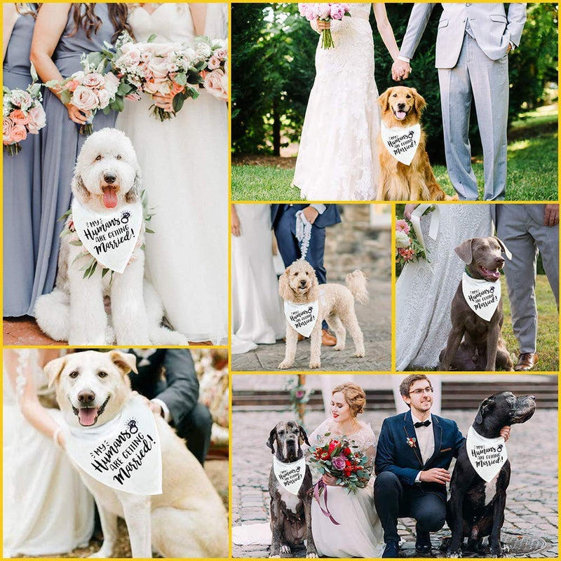 [Australia] - My Humans are Getting Married Dog Bandana, Wedding Dog Bandana, Dog Engagement Announcement, Wedding Photo Prop, Pet Scarf, PetPhoto Prop, Pet Scarf, Pet My Humans are Getting Married Dog Bandana 