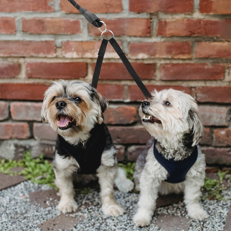 Dog Lead Double Lead for 2 Dogs, Dog Lead Double Lead for Small Dogs, Pet Trainer Lead No Tangle Double Dog Double Splitter Lead Walking Trainer Lead for Two Dogs (Black) - PawsPlanet Australia