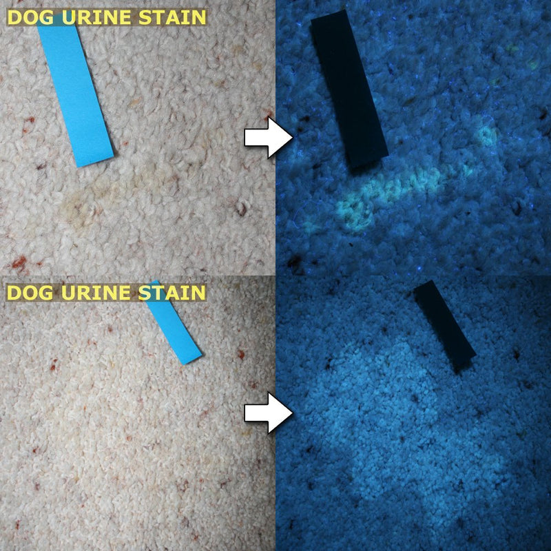 [Australia] - Pet Urine Detector 365NM Black Light Flashlight: PeeDar - Precision UV LED Pee Finder Tool. Locate Cat/Dog/Animal Stains. Uses: Hotel Inspection, Security Marks. 365NM–370NM Finds Invisible Urine Fast 