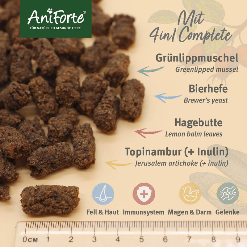 AniForte 4in1 snack for dogs 300g - natural all-round care for joints, immune system, digestion, fur & skin, stomach & intestines, grain-free, proven with green-lipped mussel powder, inulin, rose hip - PawsPlanet Australia