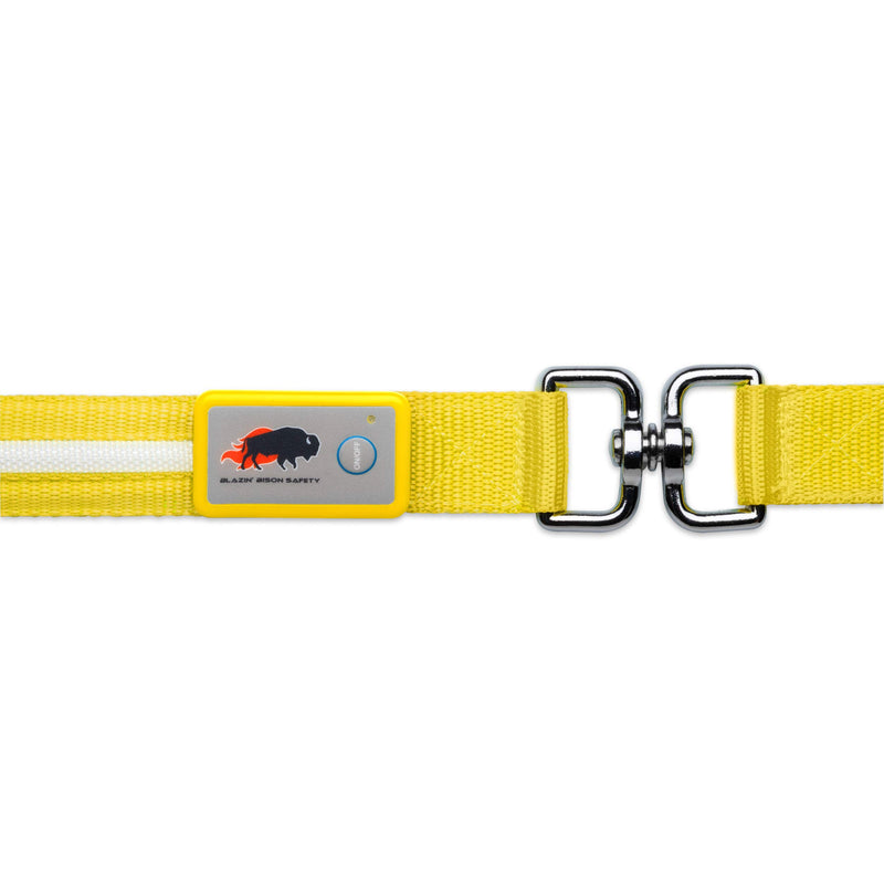 Blazin' Safety LED Dog Leash - USB Rechargeable Flashing Light Lead, 6 Ft, Water Resistant – Avoid Danger (Large, Yellow) Large - PawsPlanet Australia
