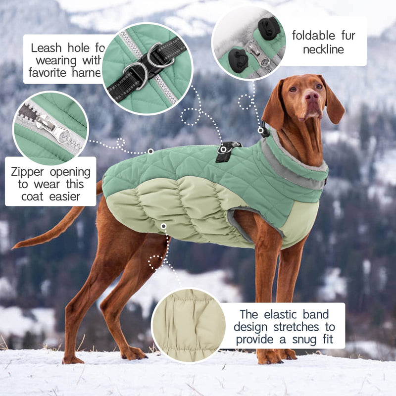 Kuoser Warm dog coat, windproof dog jacket, reflective dog coat for small dogs, dog coat winter outside, dog coat large dogs with zip with zip green M - PawsPlanet Australia