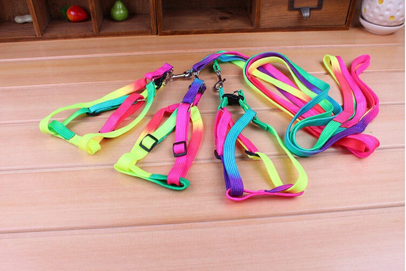 Pet Bird Harness and Leash with Buckle Adorable Rainbow Design Safe Parrot Leash Pet Harness Outdoor Adjustable Anti Bite Training Rope for Macaw Large Size Bird (M: 1cm × 47.24in) M: 1cm × 47.24in - PawsPlanet Australia