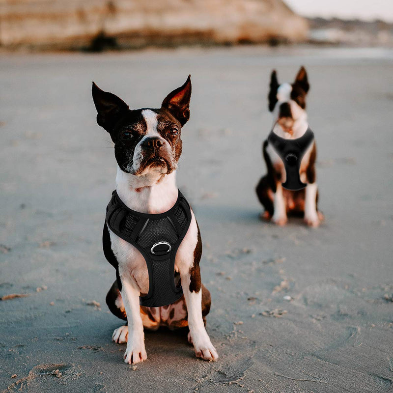 BARKBAY No Pull Dog Harness Large Step in Reflective Dog Harness with Front Clip and Easy Control Handle for Walking Training Running with ID tag Pocket Small Black - PawsPlanet Australia
