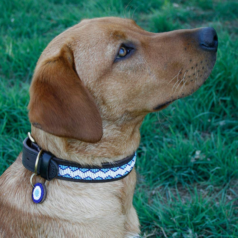 Kilifi Blue Regular Large Dog Collar - PawsPlanet Australia