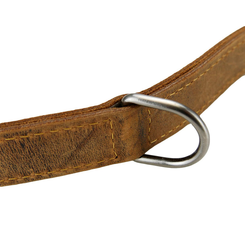 Greenburry leather leash 200cm adjustable dog leash vintage antique brown - PawsPlanet Australia