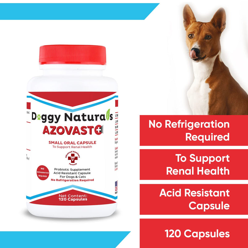 Azovast Plus Kidney Health Supplement for Dogs & Cats, 120ct - NO Refrigeration Required - Help Support Kidney Function & Manage Renal Toxins - Renal Care Supplement Capsule(U.S.A) 120 Caps (Pack of 1) - PawsPlanet Australia