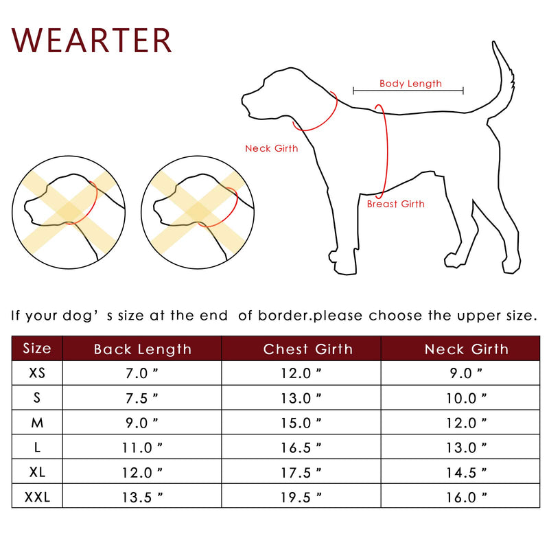 WEARTER Denim Dog Jean Jacket, Stylish Pet Coat, Puppy Clothes Dog Hoodie Jumpsuit for Small Medium Dogs X-Small - PawsPlanet Australia