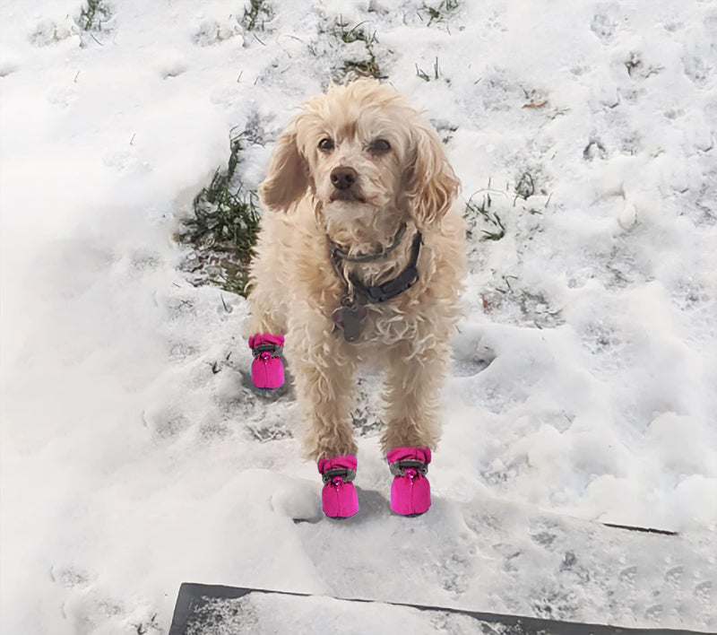 YAODHAOD Dog Shoes for Small Dogs Anti-Slip Dogs Boots Paw Protector with Reflective Straps Lightweight Walking Pet Booties for Small and Medium Pets size 2: 1.27"x0.9"(L*W) Pink - PawsPlanet Australia