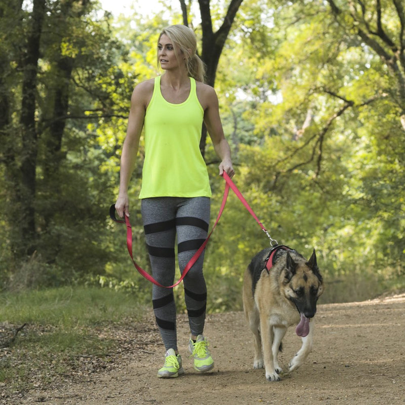 [Australia] - Head Tilt Adjustable Padded Dog Harness Small Red 