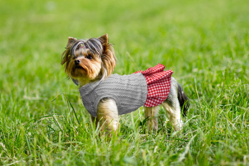 Kessie Dog Sweater Dresses for Small and Medium Dogs (Grey, X-Small) Grey X-Small(Chest:11.4" Neck:7.8") - PawsPlanet Australia