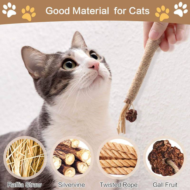 SPOKKI 6 pieces catnip sticks, cat toy set, matatabi stick for cats, dental care, removal of tartar and refreshing breath, organic interaction - PawsPlanet Australia