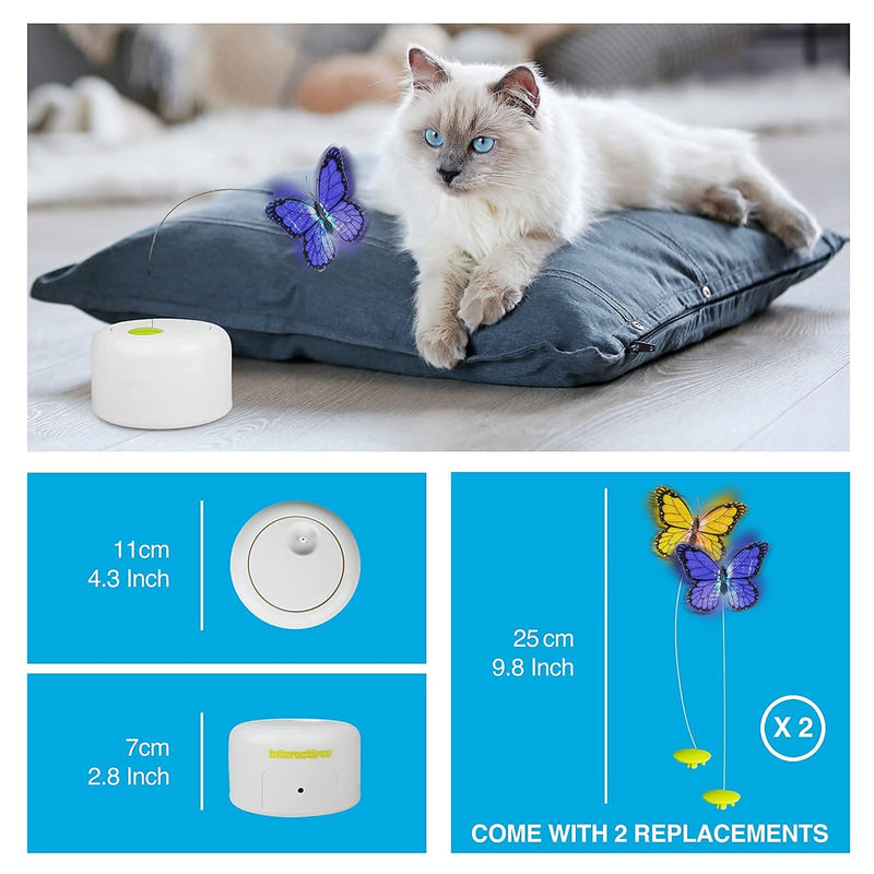 ALL FOR PAWS Interactive Motion Activate Butterfly cat Toy Flutter Bug Cat Wand Toy Interactive Cat Toy Cat Fun Playing Toys Kitten Toys (with Shiny Butterfly) - PawsPlanet Australia