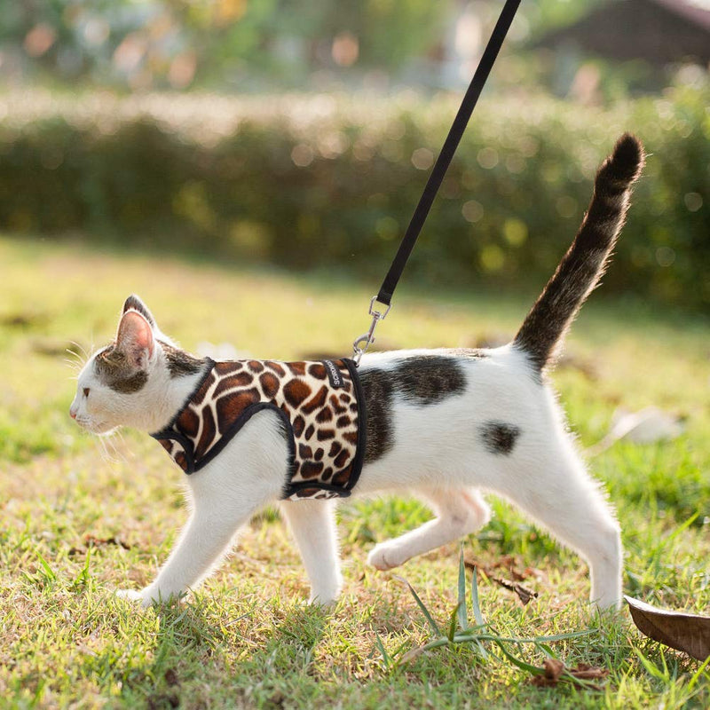 SCIROKKO Cat Harness and Lead - Escape Proof Adjustable Cat Harnesses Best Air Soft Mesh, Leopard Pattern for Kittens Cats Outdoor Walking - PawsPlanet Australia