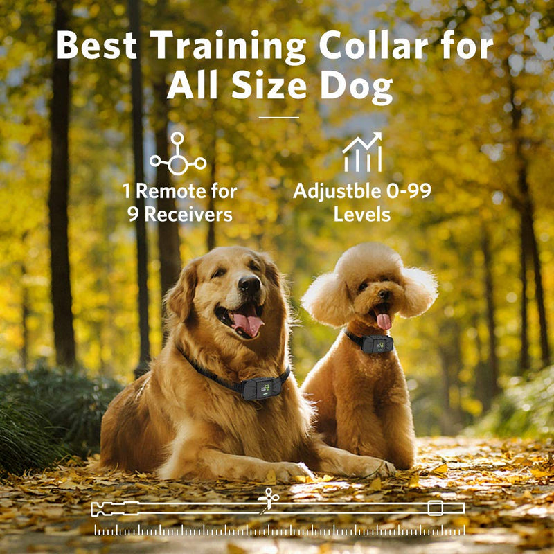 [Australia] - DOG CARE Dog Training Collar - Rechargeable Training Collar w/3 Modes and Rainproof Vibration/Shock Collar, Up to 1000Ft Remote Range, 2 Receivers Dog Training Collar with Remote 