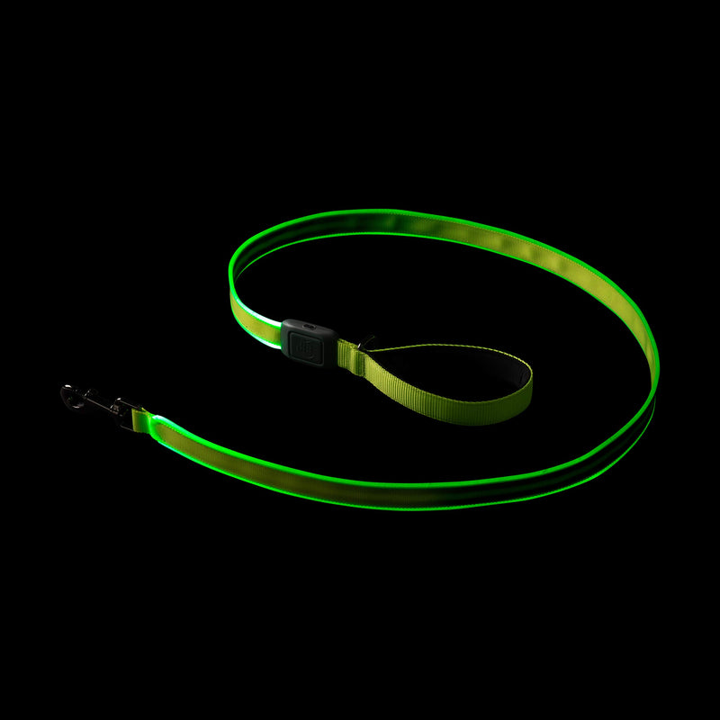 [Australia] - Nite Ize NiteDog Rechargeable LED Leash, USB Rechargeable 5 Foot Light Up Dog Leash w/Padded Handle Lime 