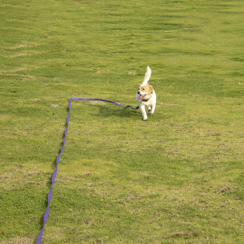 Vivifying Dog Training Lead Leash, 20FT/6M Long Nylon Training Dog Leash for Pet Tracking Training Obedience Lead Leash (Purple) Purple - PawsPlanet Australia