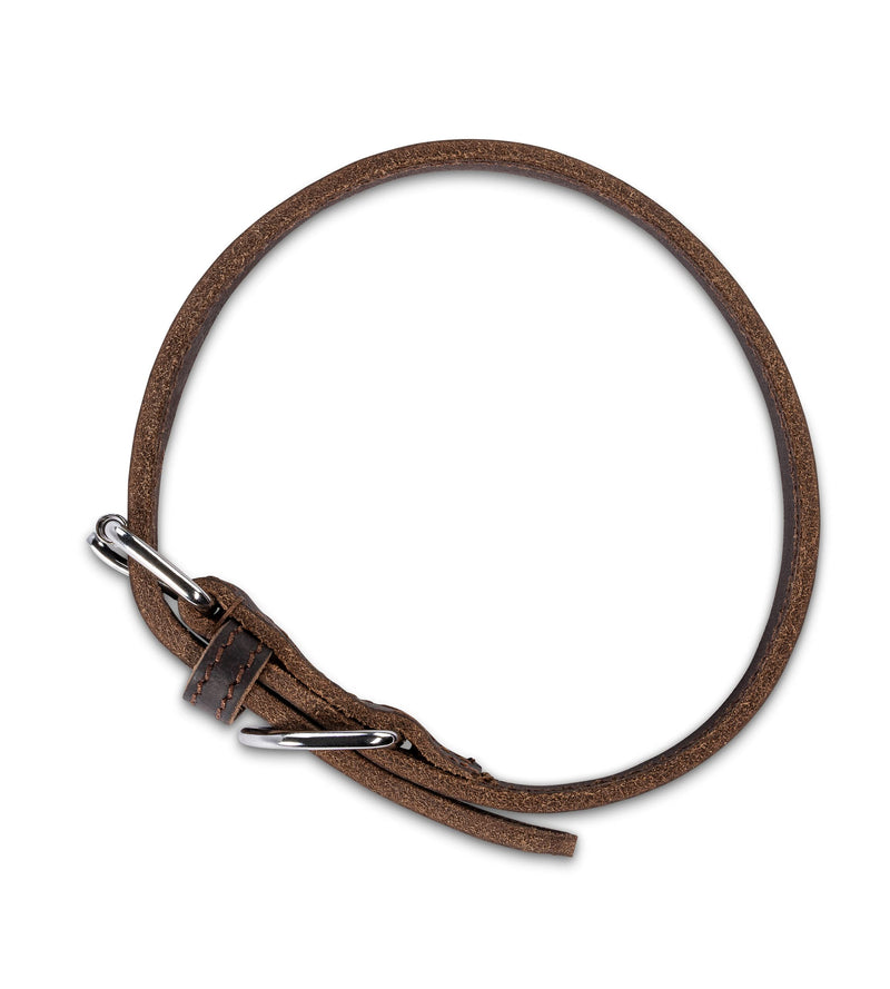 Dog collar leather - fat leather dog collar leather collar made of genuine leather Fat-Tony dark brown (L) L - (45.5cm - 51.5cm) - PawsPlanet Australia