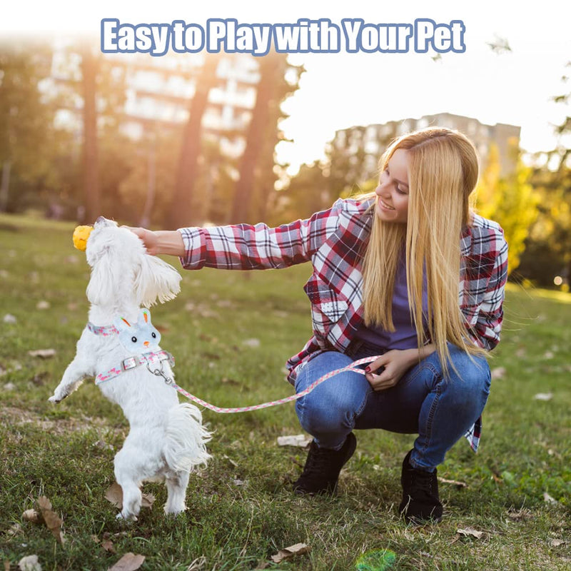 Rabbit cat harness with leash, adjustable rabbit leash, cat leash, rabbit leash, dwarf rabbit with harness for cats, soft harness, rabbit harness, cats and leash for rabbits, small animals - PawsPlanet Australia