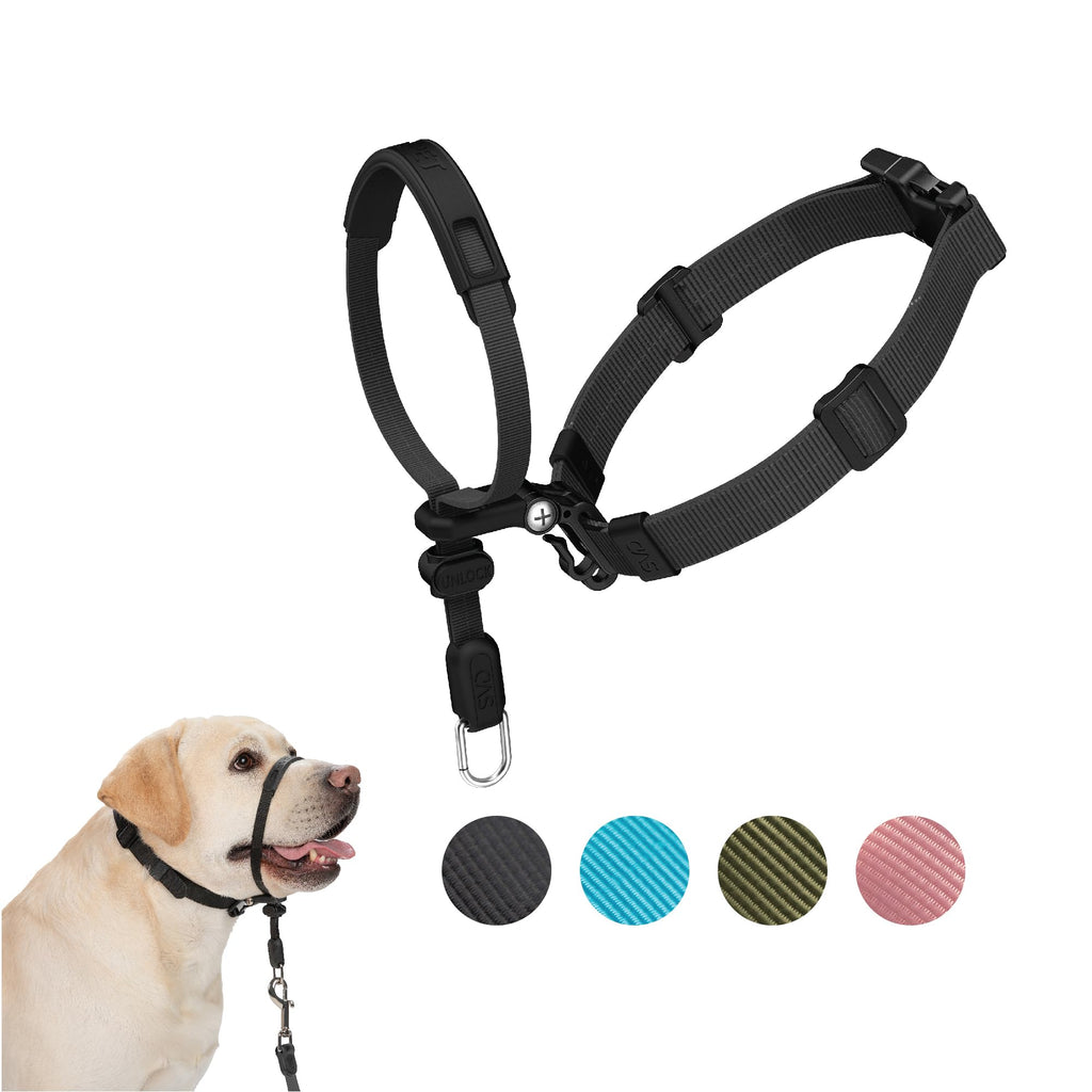 SVD.PET No-Pull Dog Headcollar for Easier Walks, Chew-Proof Protector to Increase Comfort, Simple Design, Easy to Wear and Adjust (Medium Size for Small and Medium Size Dogs) M: Upper Neck 12 - 20 inch Black - PawsPlanet Australia