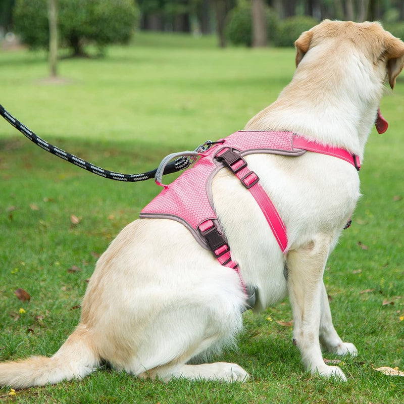 BELPRO Multi-Purpose Dog Harness, Escape Proof, No Pulling, Reflective, Adjustable Vest with Heavy Duty Handle, Dog Harness for Large/Active Dogs (Powder, S) S (1 Pack) Pink - PawsPlanet Australia