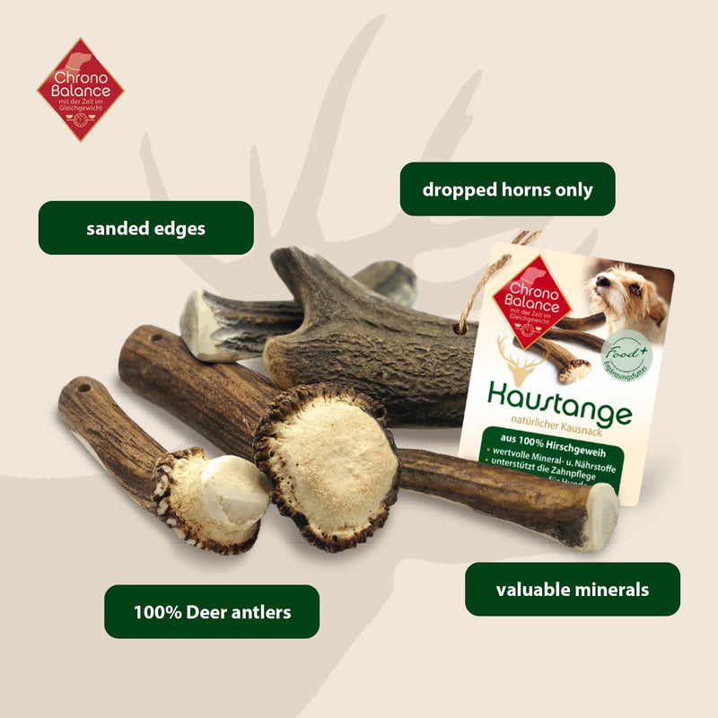 ChronoBalance® antler chewing stick for dogs: XXL chew toy dental care chewing stick made of 100% deer antler: dog toy chewing root treat chewing wood dental hygiene chewing bone set: naturally safe robust - PawsPlanet Australia