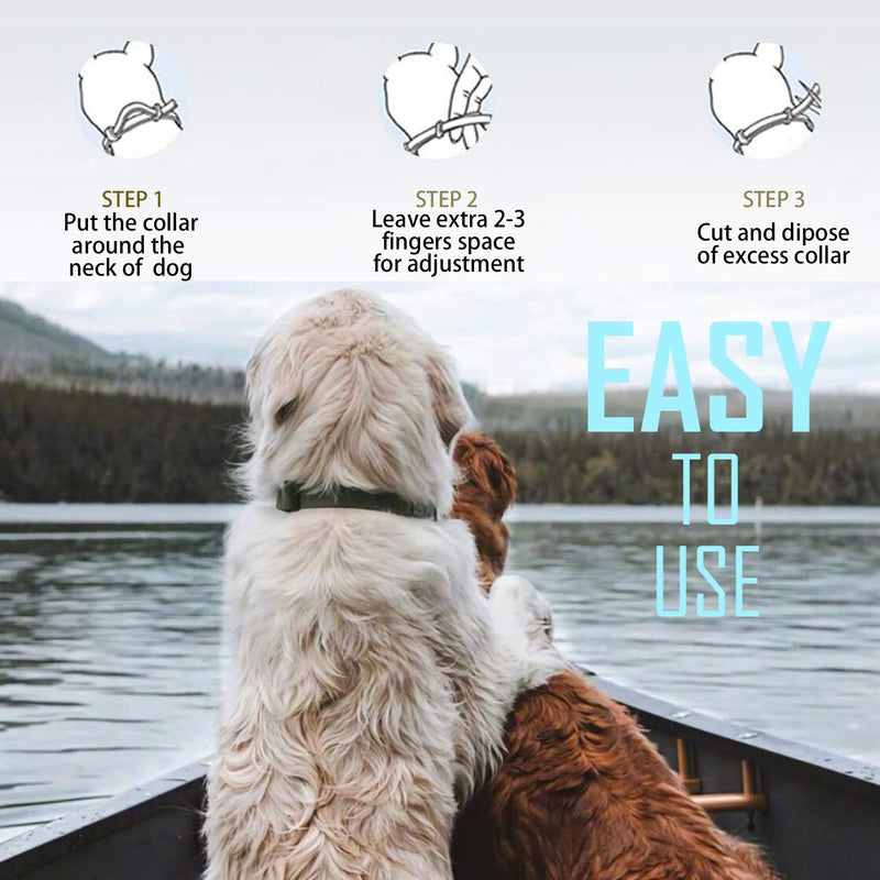 Craveit Flea and Tick Collar for Large Dog, Repels Fleas & Ticks, Natural Essential Oils, Allergy Prevention, 8-Month Protection, Adjustable & Waterproof (2 Packs) (Large) - PawsPlanet Australia