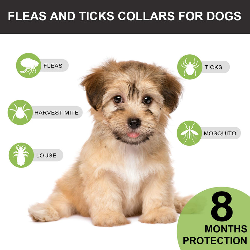 Pets vv 2 Pack Natural Flea and Tick Collar for Dogs, 8 Months Prevention of Dog Tick Collar Small and Large, Dog Flea Tick Repellent Collar, Safe and Adjustable - PawsPlanet Australia