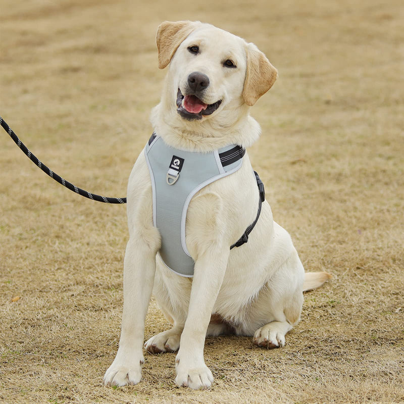 Dog Harness for Medium and Large Dogs Anti Pull Chest Harness Adjustable No Pull Safety Harness for Daily Training, Walking, Running - PawsPlanet Australia