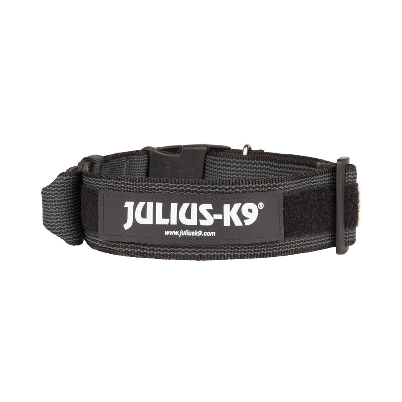 JULIUS K-9, 200HA-K-2015 Color and Gray series K9 collar with handle, safety clasp and logo and safety clasp, 50 mm x 49-70 cm, adjustable, black-gray 50 mm (49-70 cm) black- Gray - PawsPlanet Australia