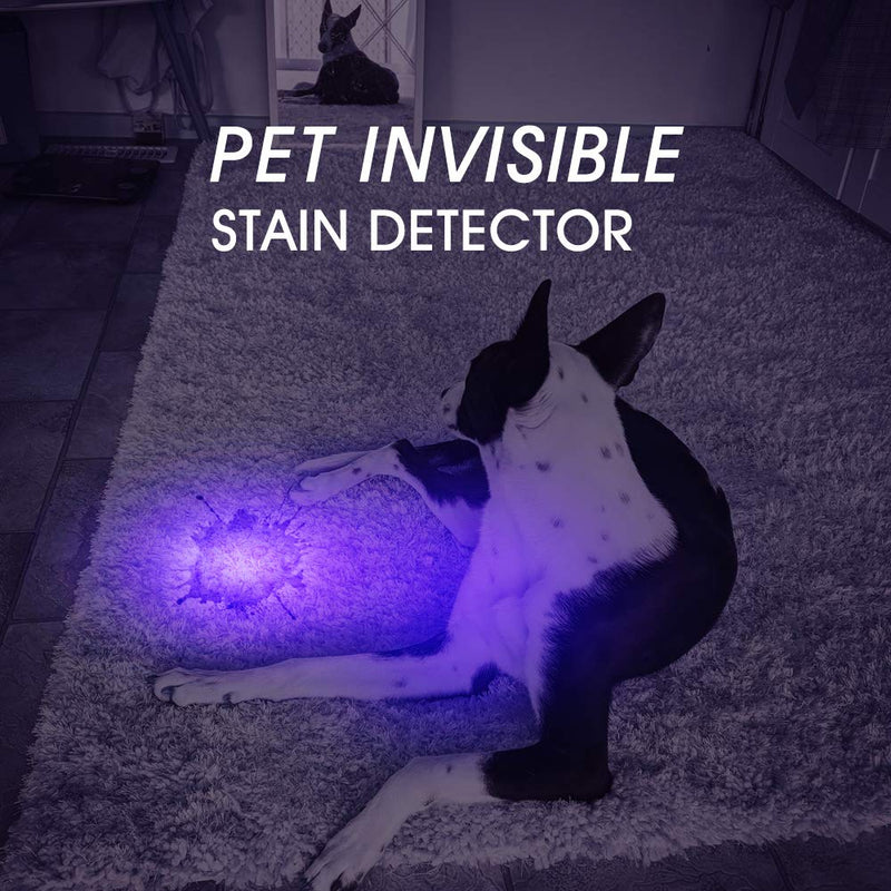 UV Led Blacklight Flashlights Detector Ultraviolet Pocket-size LED Torch for Pets Urine and Stains Find Stains on Carpet, Rugs 3D Printed Resin (405nm UV) 405nm UV - PawsPlanet Australia