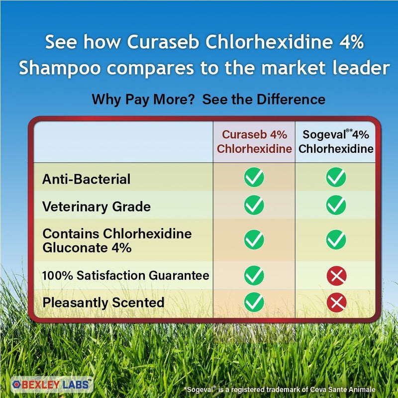 [Australia] - Curaseb Chlorhexidine 4% Shampoo for Dogs & Cats - Antibacterial & Antimicrobial Medicated Shampoo - Broad Spectrum Veterinary Formula 12 Ounce 